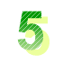 5