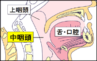 中咽頭がん 北海道 帯広 十勝 社会医療法人北斗 北斗病院 北斗クリニック