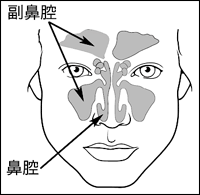 副鼻腔腫瘍 北海道 帯広 十勝 社会医療法人北斗 北斗病院 北斗クリニック