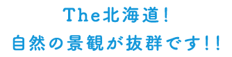 The北海道！自然の景観が抜群です！！